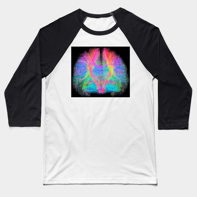 White matter fibres of the human brain (C034/2035) Baseball T-Shirt by SciencePhoto